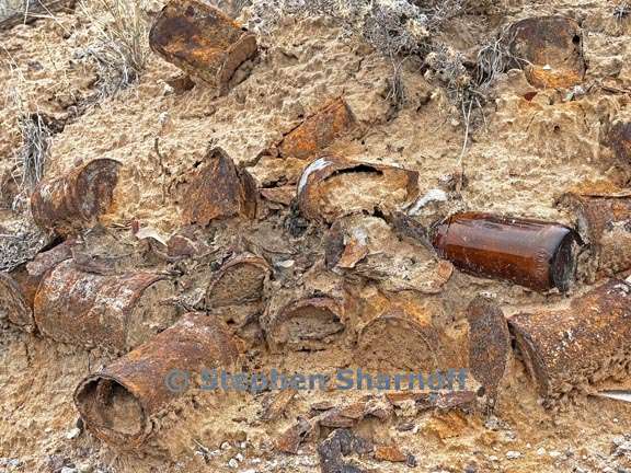 dump near house 5 graphic